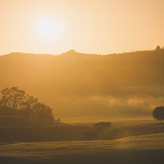 How to develop a morning ritual and stick to it